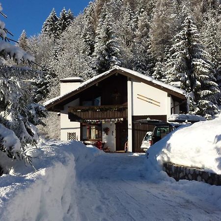 Orizzonti Montani Apartment Пиеве ди Кадоре Екстериор снимка